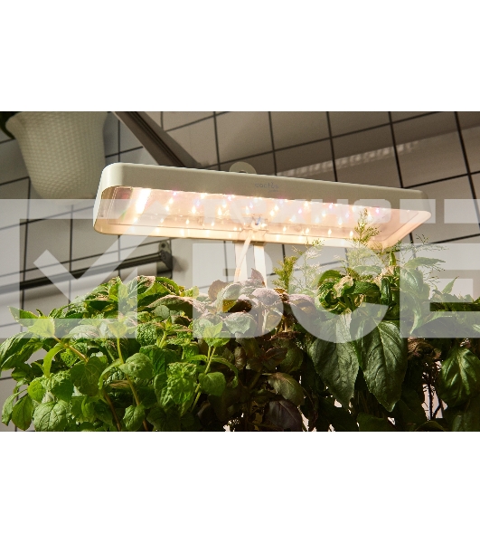 Гидропонная установка Cactus Garden 3л 20Вт белый (CS-LEDPOT-08)