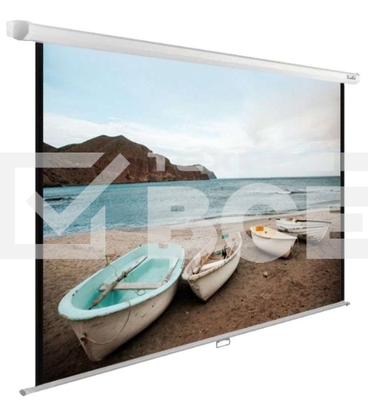 Экран Cactus 138x220см WallExpert CS-PSWE-220x138-WT 16:10 настенно-потолочный рулонный белый