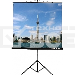 Экран на штативе Lumien Eco View 183x244см (раб.область175х236 см) Matte White с возможностью настенного крепления 4:3, фото 1