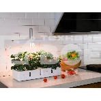 Гидропонная установка Cactus Garden 3л 20Вт белый (CS-LEDPOT-08), фото11