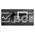 Модуль Ippon 1180661 SNMP card Innova RT33, фото2