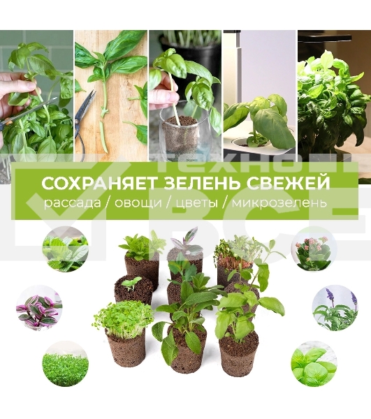 Набор питательных губок Cactus CS-SPONGE-20 для проращивания (упак.:20шт) коробка