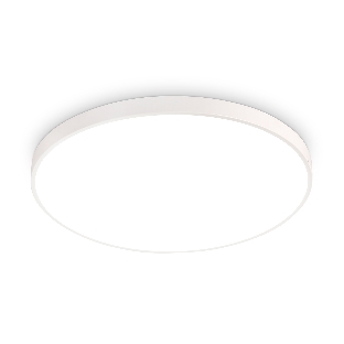 Потолочный светодиодный светильник Ambrella light FZ1200 WH белый IP54 11W 5000K D210*60 (без ПДУ)