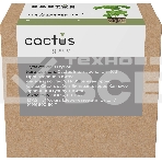 Набор питательных губок Cactus CS-SPONGE-20 для проращивания (упак.:20шт) коробка, фото3
