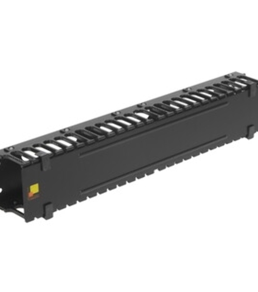 Органайзер Lanmaster (LAN-ORG/CV-2U) 19' c крышкой, 2U