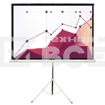 Экран Cactus 180x180см Triscreen CS-PST-180x180 1:1 напольный рулонный белый, фото 1