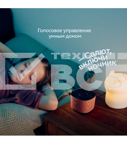 Умная колонка Sber Boom Home SBDV-00171G Салют серый 8W Mono BT/Wi-Fi (без.бат)