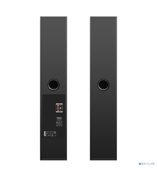 Акустическая система Ginzzu GM-325 2.0 2x60W/BT/USB/SD/FM/AUX/ДУ черный