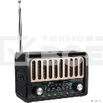 Радиоприемник Ritmix RPR-020, фото 1