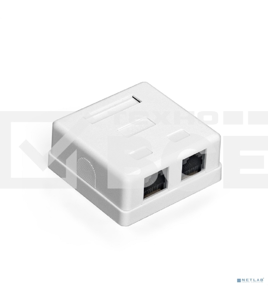 Розетка внешняя двойная ExeGate SM2-RJ45-C5 RJ-45 кат.5/5E UTP Krone/110