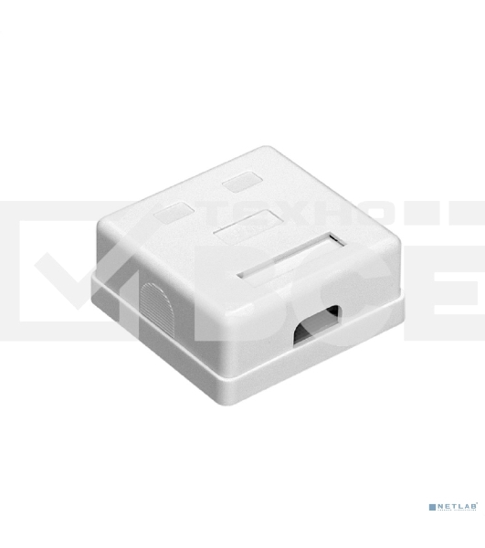 Розетка внешняя двойная ExeGate SM2-RJ45-C5 RJ-45 кат.5/5E UTP Krone/110