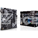 Материнская плата ASUS PRIME B550M-A/CSM, Socket AM4, B550, 2*DDR4, D-Sub+DVI+HDMI, SATA3 + RAID, Audio, Gb LAN, USB 3.1*8, USB 2.0*4, COM*1 header (w/o cable), mATX ; 90MB14I0-M0EAYC, фото2