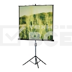 Экран на треноге Lumien 220x165см Master View LMV-100113 4:3 напольный рулонный, фото 1
