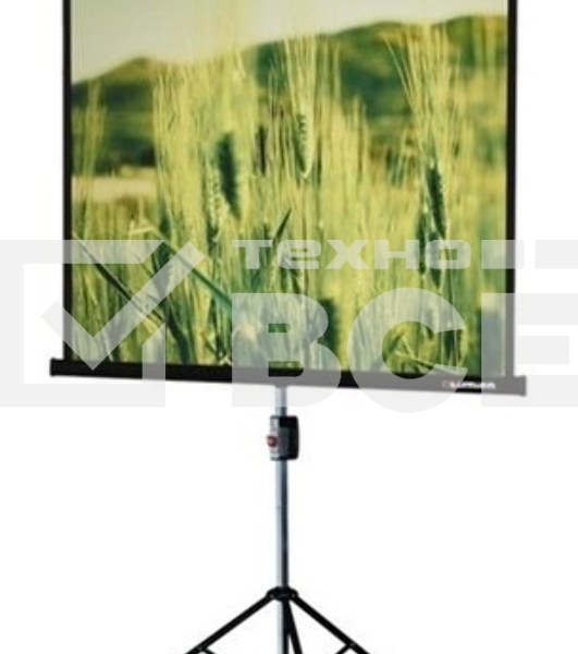 Экран на треноге Lumien 220x165см Master View LMV-100113 4:3 напольный рулонный