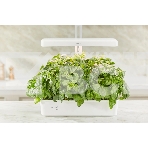 Гидропонная установка Cactus Garden CS-LEDPOT-10 2л 20Вт белый, фото5