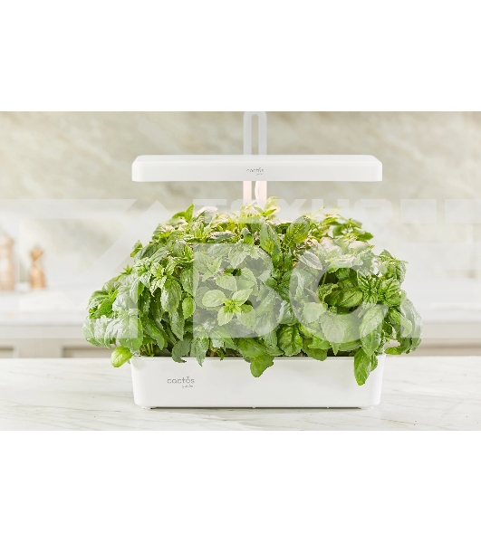 Гидропонная установка Cactus Garden CS-LEDPOT-10 2л 20Вт белый