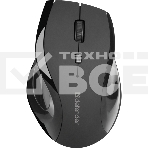 Мышь беспроводная Defender Accura MM-295 черный, 1600 dpi, радиоканал, USB, кнопки - 6, фото2