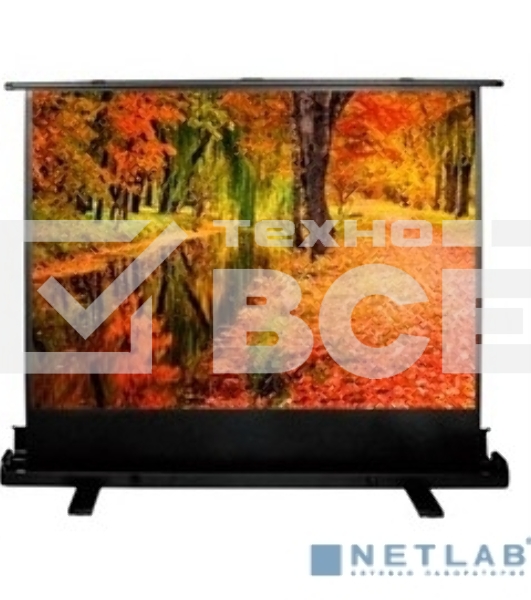 Экран Cactus 150x200см FloorExpert CS-PSFLE-200X150 4:3 напольный рулонный