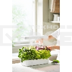 Гидропонная установка Cactus Garden CS-LEDPOT-10 2л 20Вт белый, фото7