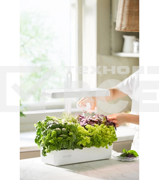 Гидропонная установка Cactus Garden CS-LEDPOT-10 2л 20Вт белый
