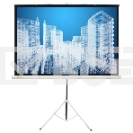 Экран Cactus 104.4x186см Triscreen CS-PST-104x186 1:1 напольный рулонный белый, фото 1