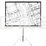 Экран Cactus 127x127см Triscreen CS-PST-127X127 1:1 напольный рулонный белый, фото 1
