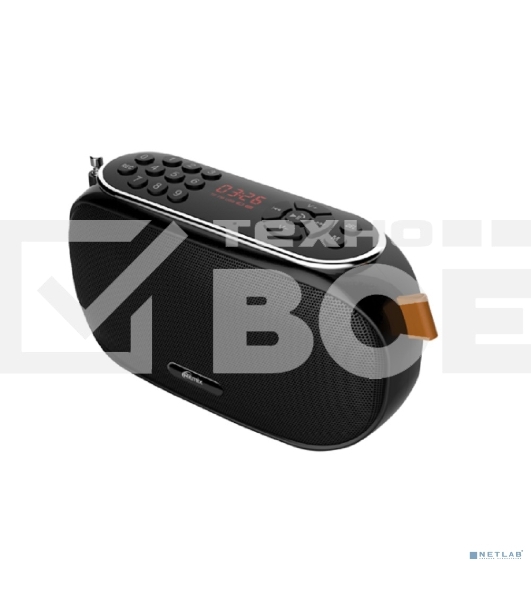 Радиоприемник Ritmix RPR-008 черный