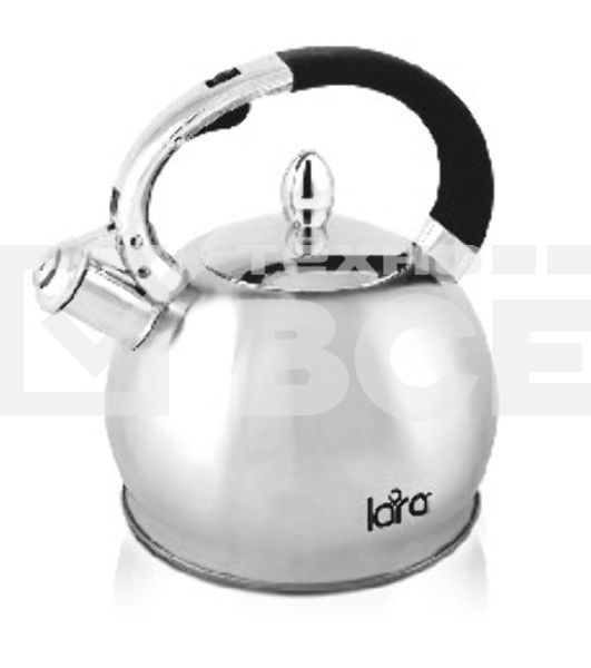 Чайник для плиты LARA LR00-10