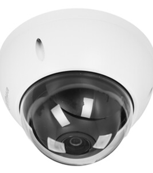 Камера видеонаблюдения Dahua DH-SD22404DB-GNY