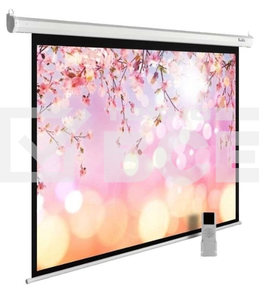 Экран Cactus 220x220см MotoExpert CS-PSME-220x220-WT 1:1 настенно-потолочный рулонный белый (моторизованный привод)