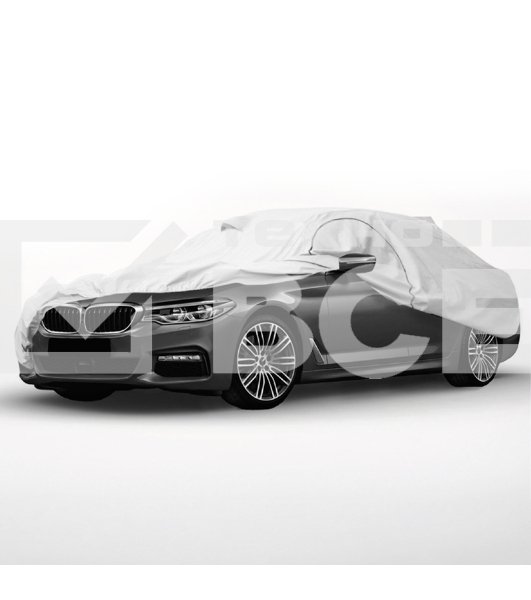 Чехол-тент на автомобиль Rexant размер M