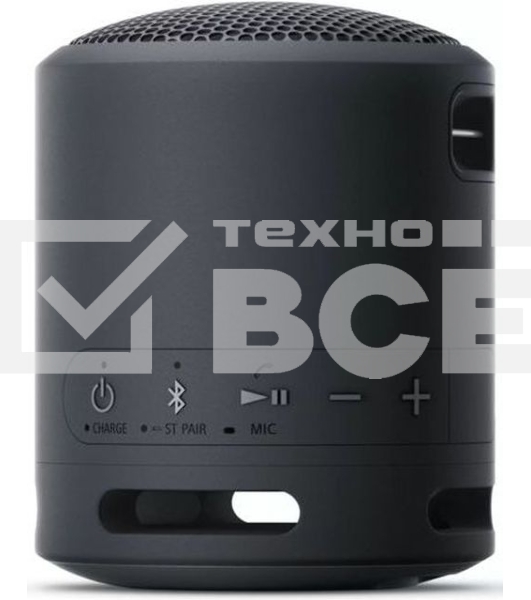 Колонка порт. Sony SRS-XB13 черный 5W Mono BT 10м (SRS-XB13/BC)