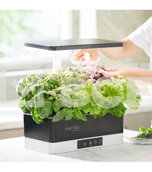 Гидропонная установка Cactus Garden 3л 24Вт черный (CS-LEDPOT-06)