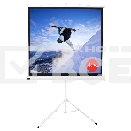 Экран 127x127см TriScreen 1:1 напольный рулонный белый71', фото 1