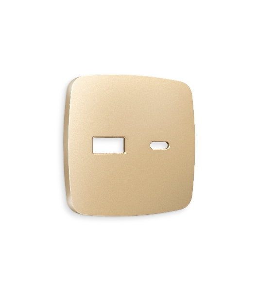 Лицевая панель OMEGA (Шампань) для розетки 2USB тип A+C QUANT OP6110
