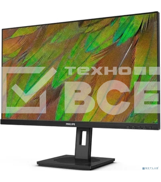 Монитор 27' Philips 27B1N3800/00 IPS 3840x2160, 60 Гц, 4 мс, 16:9, 350 кд/м², HDMI 2.0, DP 1.4, USB Hub (4x USB 3.2), 3.5 Jack, HDR10, динамики (2x2 Вт), черный