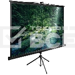 Экран Cactus 165x220см TriExpert CS-PSTE-220х165-BK 4:3 напольный рулонный, фото3