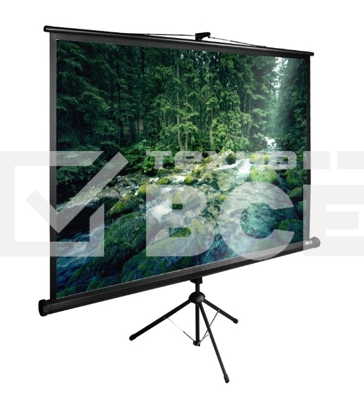 Экран Cactus 165x220см TriExpert CS-PSTE-220х165-BK 4:3 напольный рулонный