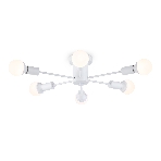 Светильник Ambrella light TR80401/6 WH белый E27/6 max 60W D780*150, фото6