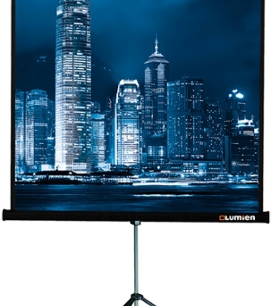 Экран на штативе Lumien Master View 127x127 см Matte White FiberGlass (LMV-100101)