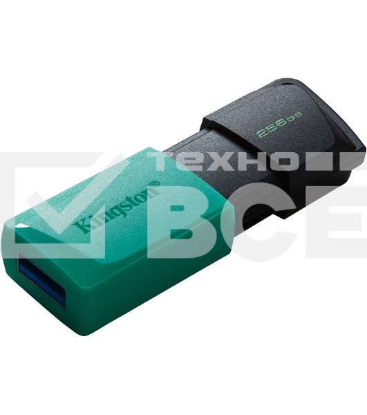 Флеш диск Kingston 256Gb DataTraveler DTXM DTXM/256GB USB3.2 черный/зеленый