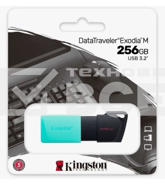 Флеш диск Kingston 256Gb DataTraveler DTXM DTXM/256GB USB3.2 черный/зеленый