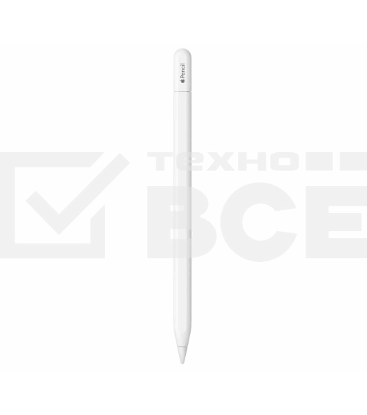 Перо-карандаш Apple Pencil (USB-C)