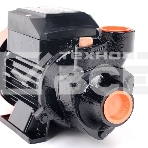 Садовый насос поверхностный Patriot QB-80 750Вт 3000л/час, фото 1