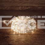 Дюралайт LED, свечение с динамикой (3W), 24 LED/м, ТЕПЛЫЙ БЕЛЫЙ, 6м, фото 1