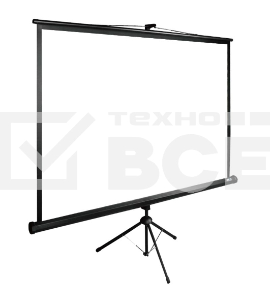 Экран Cactus 165x220см TriExpert CS-PSTE-220х165-BK 4:3 напольный рулонный