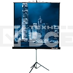 Экран на треноге Lumien 183x244см Master View LMV-100108 4:3 напольный рулонный, фото 1