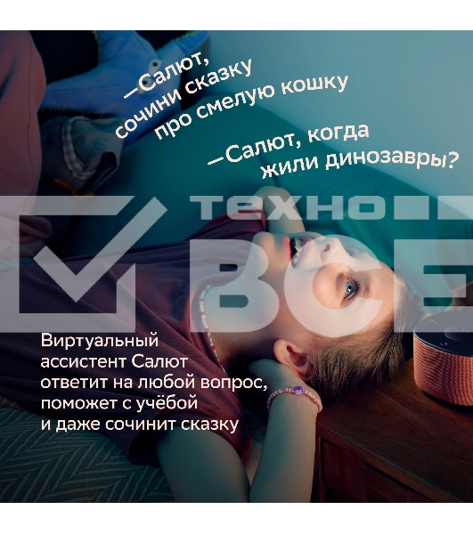 Умная колонка Sber Boom Home SBDV-00171G Салют серый 8W Mono BT/Wi-Fi (без.бат)