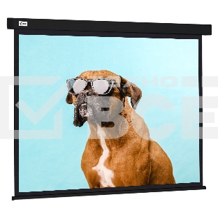 Экран Cactus 183x244см Wallscreen CS-PSW-183X244-BK 4:3 настенно-потолочный рулонный черный