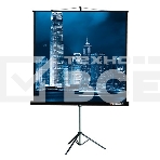 Экран на штативе Lumien Master View 128x171 см Matte White FiberGlass (LMV-100106), фото 1